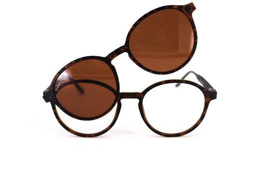 EyE M Trc 293a